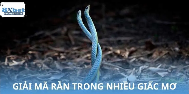 Giải mã giấc mơ bị rắn cắn và những cảnh báo tinh tế