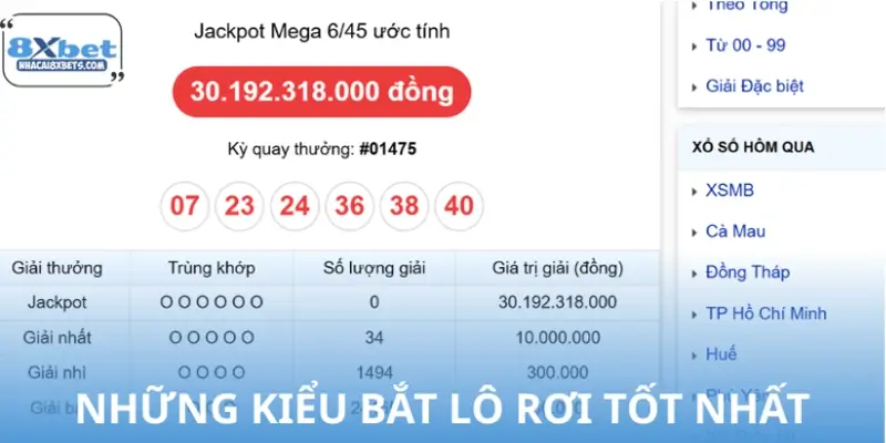 Các phương pháp bắt lô rơi hiệu quả được áp dụng phổ biến