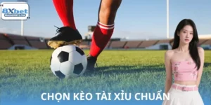 Mẹo Chọn Kèo Tài Xỉu Chuẩn Tại 8XBET, Thắng Lớn Mỗi Ngày